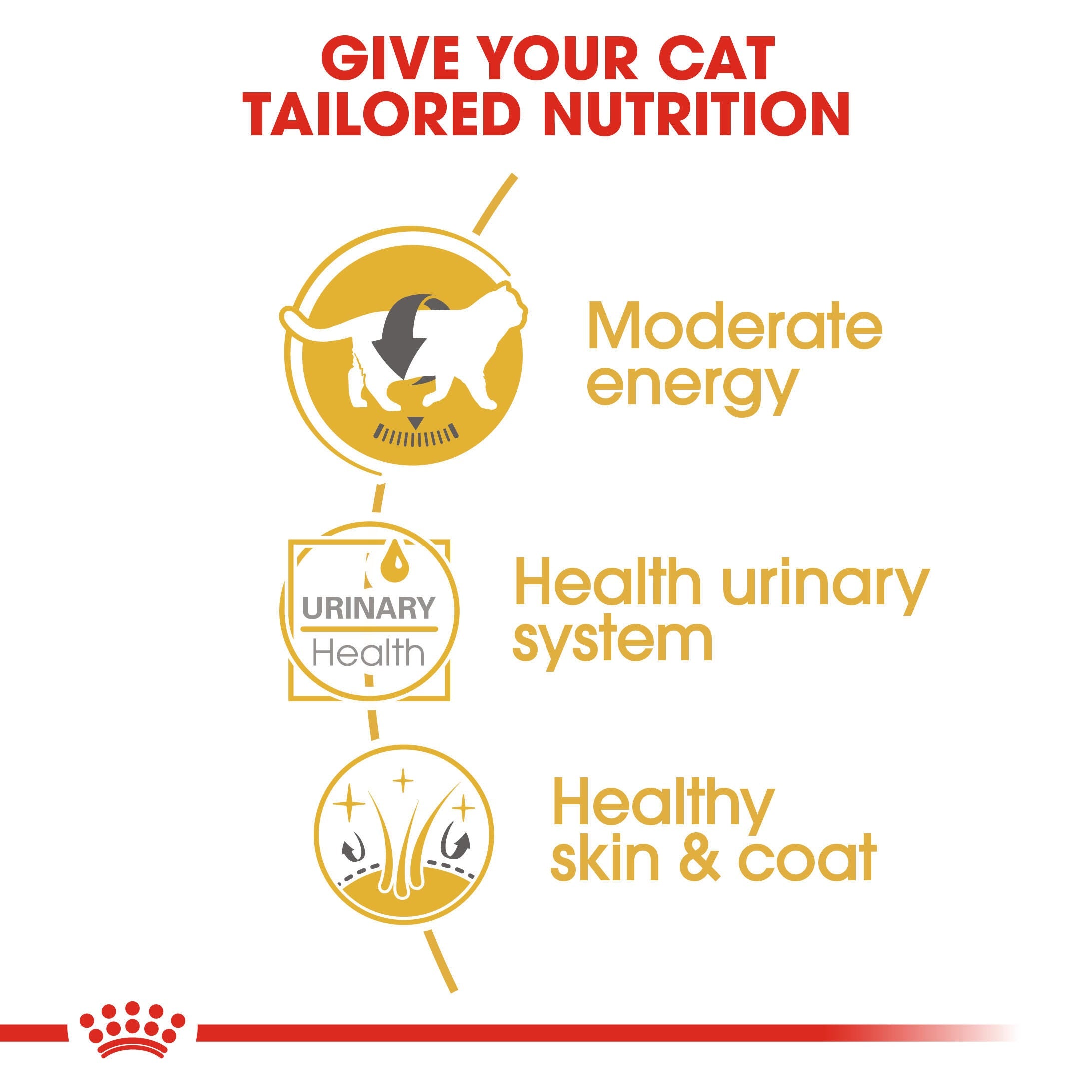 ROYAL CANIN® British Shorthair Adult Cat Wet Food