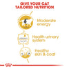 ROYAL CANIN® British Shorthair Adult Cat Wet Food