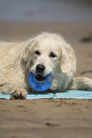 Petface Cooling Freeze Ring Dog Toy
