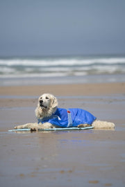 Petface Dog Cooling Coat