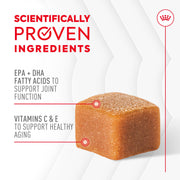 ROYAL CANIN® Joint and Ageing Soft Chews Supplements for Dogs