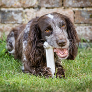 Nylabone Chicken Extreme Bone Medium