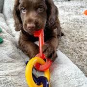 Nylabone Puppy Teething Keys Small