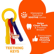 Nylabone Puppy Teething Keys Small