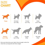 Nylabone Puppy Teething Keys Small