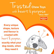 Nylabone Extreme Chew Bacon Bone
