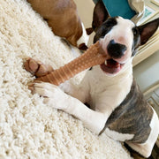 Nylabone Extreme Chew Bacon Bone