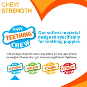 Nylabone Chicken Puppy Starter Kit Triple Pack Small