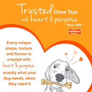 Nylabone Chicken Puppy Starter Kit Triple Pack Small