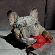 Nylabone Extreme Chew Filet Mignon Lobster