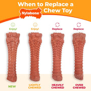 Nylabone Extreme Chew Filet Mignon Lobster