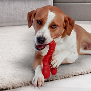 Nylabone Extreme Chew Filet Mignon Lobster