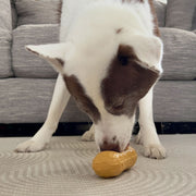 Nylabone Peanut Butter Strong Treat Toy Medium