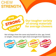 Nylabone Peanut Butter Strong Treat Toy Medium