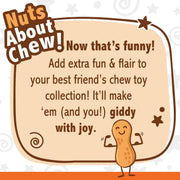 Nylabone Peanut Butter Strong Treat Toy Medium