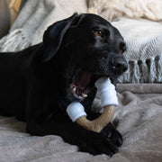 Nylabone Toasted Marshmallow & Peanut Butter Strong Stick Large