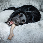 Nylabone Extreme Chew Peanut Butter Max Stick