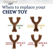 Nylabone Extreme Chew Peanut Butter Max Stick