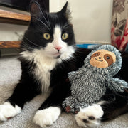 Ancol Samson Sloth Cat Kicker Toy