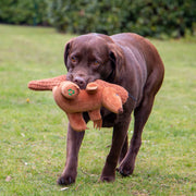 Ancol Made From Peter Pangolin Dog Toy