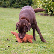Ancol Made From Peter Pangolin Dog Toy