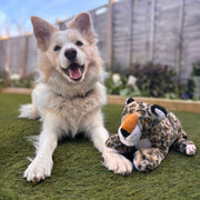 Ancol Made From Lyra Leopard Dog Toy