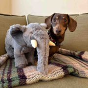 Ancol Made From Edgar Elephant Dog Toy