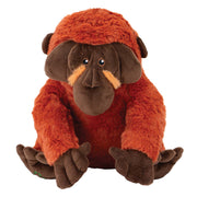 Ancol Made From Oswold Orangutan Dog Toy