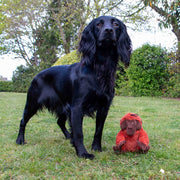 Ancol Made From Ozzy Orangutan Mini Dog Toy