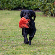 Ancol Made From Ozzy Orangutan Mini Dog Toy