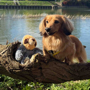 Ancol Made From Scout Sloth Mini Dog Toy