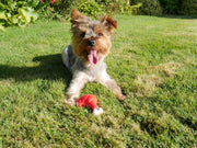 Rosewood Tough Toys Meaty Chicken Takeaway Leg