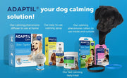 ADAPTIL Express Calm Chews for Dogs