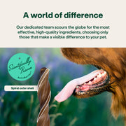YuMOVE® Dental Care Sticks for Dogs | 14 Sticks | Natural Oral Health for Small to Large Breeds