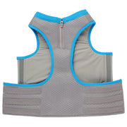 All For Paws Chill Out Cooling Vest