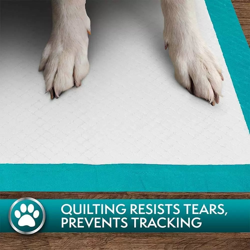 Simple Solutions Training Pads