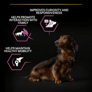 Purina PRO PLAN® Small and Mini Adult 9+ Senior Age Defence Chicken Dry Dog Food