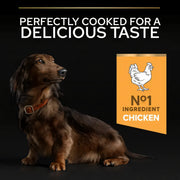 Purina PRO PLAN® Small and Mini Adult 9+ Senior Age Defence Chicken Dry Dog Food