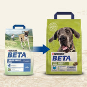 Beta Adult Large Breed Turkey Dry Dog Food