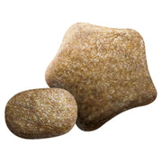 Beta Sensitive Salmon & Rice Dry Dog Food