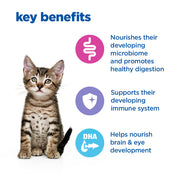 Hill's Vet Essentials Multi-Benefit Kitten Chicken Dry Food