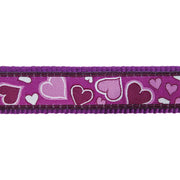 Red Dingo Breezy Love Purple Dog Harness