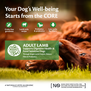 Wellness Core Adult Lamb Dry Dog Food