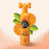 Pet Head Ditch The Dirt Shampoo 300ml