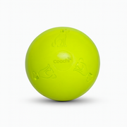 Company Of Animals Coachi Boomi Ball Dog Toy