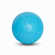 Company Of Animals Coachi Boomi Ball Dog Toy