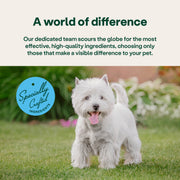 YuMOVE® Skin & Coat Care Boost