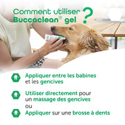 MP Labo Buccaclean Enzymatic Dental Gel 30ml