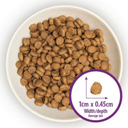 Burns Kitten Chicken & Rice Dry Cat Food