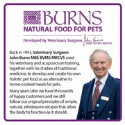 Burns Kitten Chicken & Rice Dry Cat Food